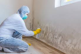 Best Mold Prevention Services in San Jacinto, CA