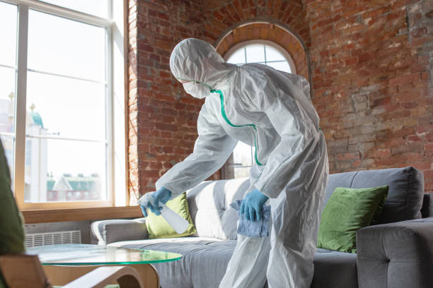 Why You Should Choose Our Mold Remediation Services in San Jacinto, CA